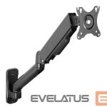 TV accessories NEOMOUNTS  MONITOR ACC WALL MOUNT/17-32" WL70-450BL11 