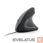 Computer mouse Gembird  MOUSE USB OPTICAL BLACK/ERGONOMIC MUS-ERGO-01 