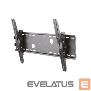 TV accessories NEOMOUNTS  TV SET ACC WALL MOUNT 37-85"/PLASMA-W200BLACK 