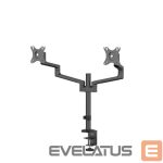 TV accessories NEOMOUNTS  MONITOR ACC DESK MOUNT 17-27''/DUAL DS60-425BL2 