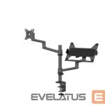 Other Computer Accessory NEOMOUNTS  NB/MONITOR ACC DESK MOUNT/DS20-425BL2 