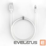 Cable Evelatus  Cable USB A to C 2M Aluminum housing braiding White