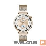 Smart watches Huawei  GT 5 41mm Gold