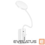 Desc lamp Hoco  HX10 Clip table lamp White