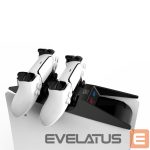 Controller Saitake  Dual charging station Dock for Sony Play Station 5 PS5 Controllers console shape Black White