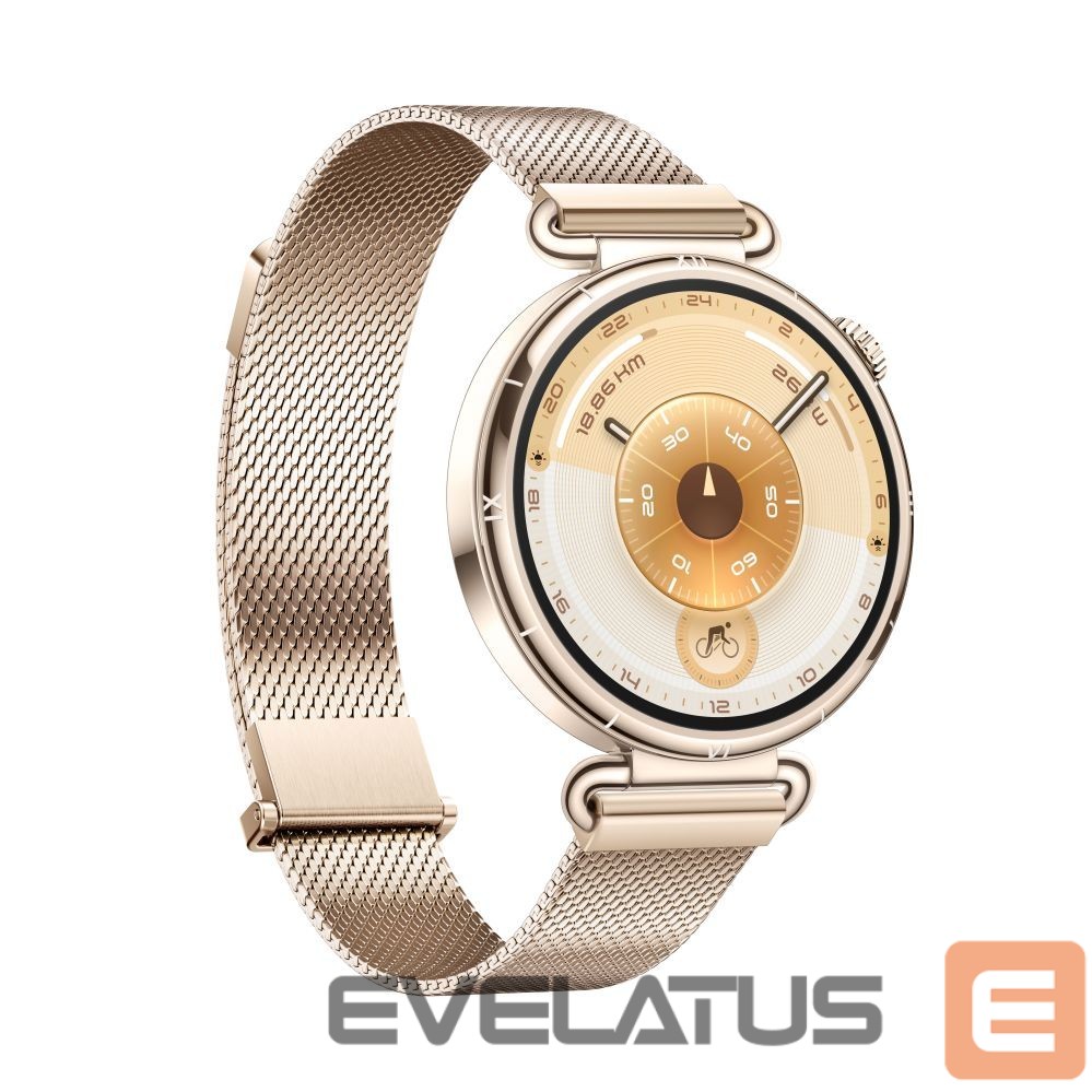 Smart watches Huawei Watch GT6 41mm Gold Stainless Steel Case with Gold Milanese Strap Gold