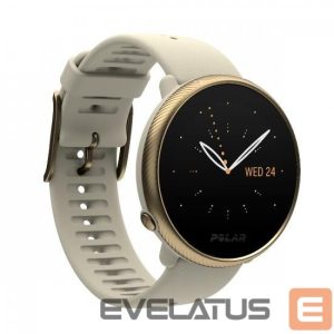 Smart watches Polar  Polar IGNITE 2 S-L Gold & Champagner 