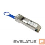 Server - Other Accessories Mikrotik  NET MODULE 100GBE QSFP28/XQ+CM0000-XS+ 