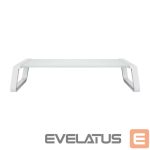 TV bracket Trust  MONITOR ACC STAND MONTA/GLASS WHT 25351 