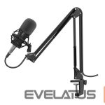 Other Computer Accessory Genesis  Gaming Microphone Radium 300 Black, Wired 