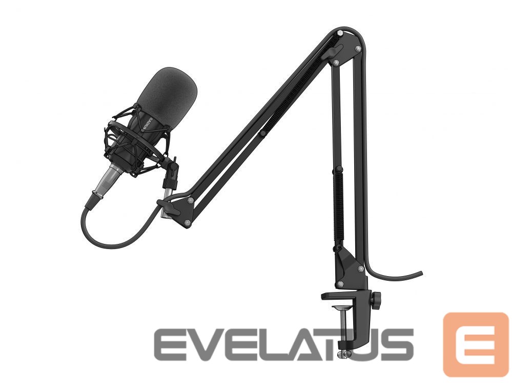Other Computer Accessory Genesis Gaming Microphone Radium 300 Black, Wired