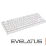 Computer keyboard Genesis  Mechanical Gaming Keyboard THOR 404 TKL RGB Mechanical Gaming Keyboard Wired US Gateron Yellow Pro USB Type-A 1005 g 