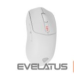 Computer mouse Genesis  Zircon 500 | Wireless/Wired | Gaming Mouse | 2.4 GHz, Bluetooth, USB | White 