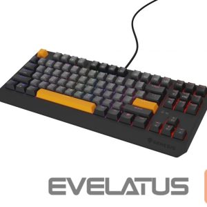 Computer keyboard Genesis  THOR 230 | Mechanical Gaming Keyboard | Wired | US | Anchor Gray Negative | USB Type-A | Outemu Red 