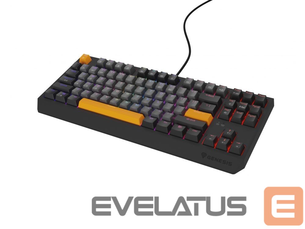Computer keyboard Genesis THOR 230 | Mechanical Gaming Keyboard | Wired | US | Anchor Gray Negative | USB Type-A | Outemu Red
