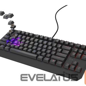 Computer keyboard Genesis  THOR 230 | Mechanical Gaming Keyboard | Wired | US | Black | USB Type-A | Outemu Brown 