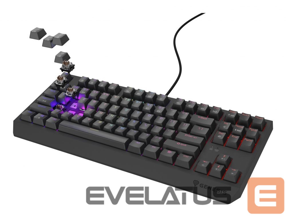 Computer keyboard Genesis THOR 230 | Mechanical Gaming Keyboard | Wired | US | Black | USB Type-A | Outemu Brown