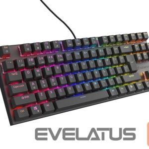 Computer keyboard Genesis  THOR 303 | Mechanical Gaming Keyboard | Wired | US | Black | USB Type-A | Outemu Peach Silent 
