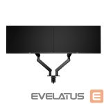 Interactive solution Aoc international  AOC AM420 Dual Monitor Arm - black 