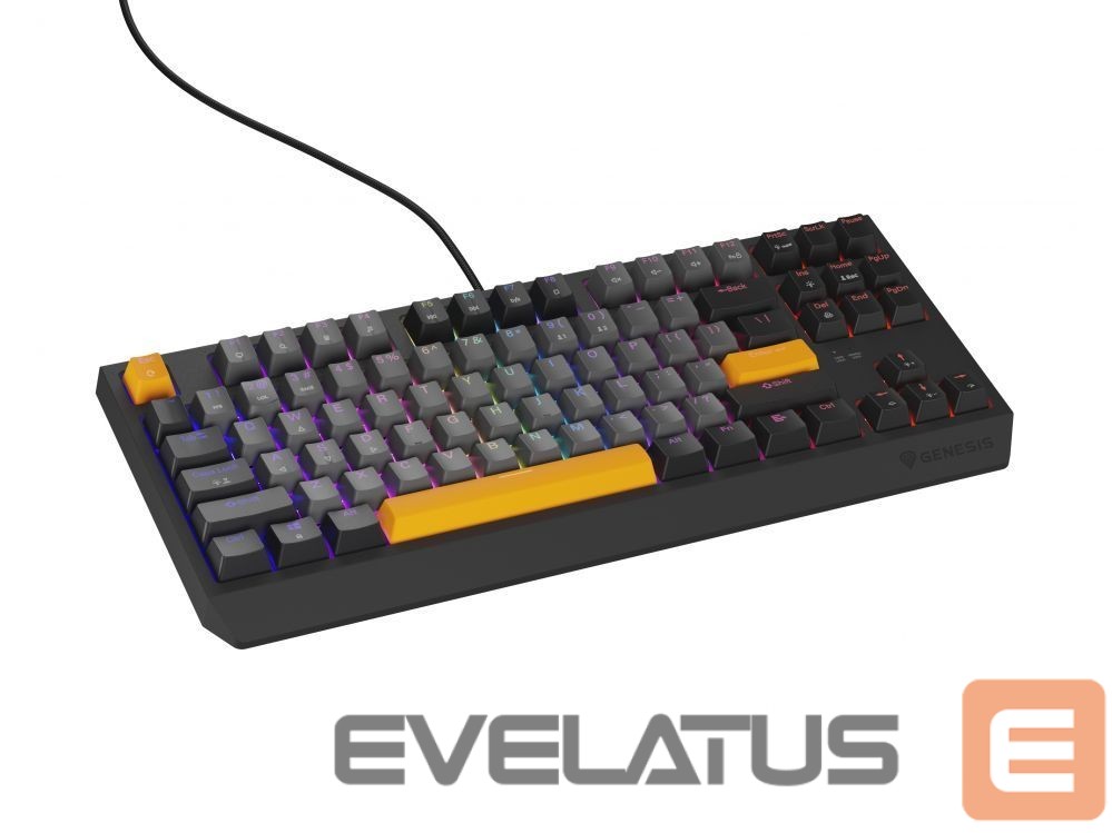 Computer keyboard Genesis THOR 230 | Mechanical Gaming Keyboard | Wired | US | Anchor Gray Negative | USB Type-A | Outemu Red