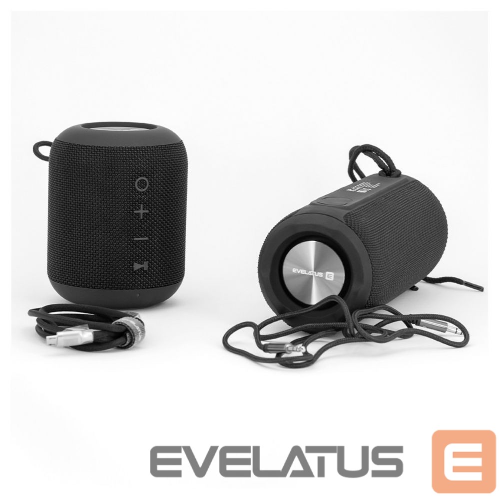 Bluetooth speakers Evelatus Evelatus Bluetooth Speaker S size EBS01 Black