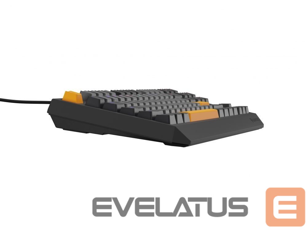 Computer keyboard Genesis THOR 230 | Mechanical Gaming Keyboard | Wired | US | Anchor Gray Negative | USB Type-A | Outemu Red