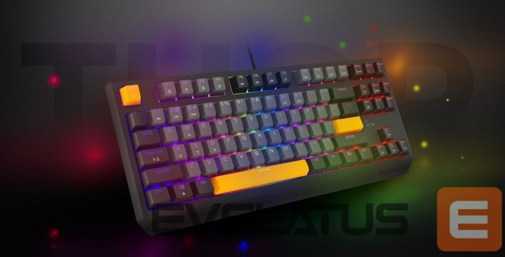Computer keyboard Genesis THOR 230 | Mechanical Gaming Keyboard | Wired | US | Anchor Gray Negative | USB Type-A | Outemu Red