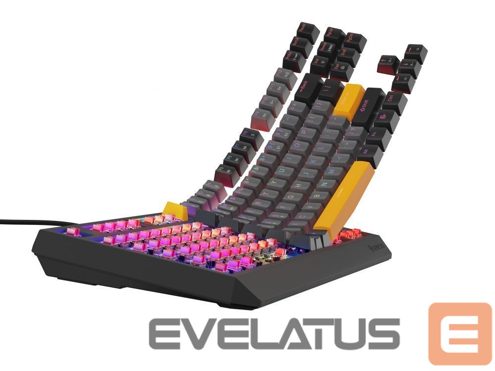 Computer keyboard Genesis THOR 230 | Mechanical Gaming Keyboard | Wired | US | Anchor Gray Negative | USB Type-A | Outemu Red