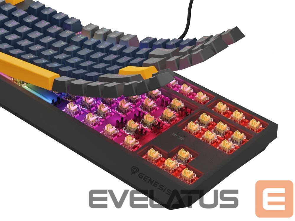 Computer keyboard Genesis THOR 230 | Mechanical Gaming Keyboard | Wired | US | Naval Blue Positive | USB Type-A | Outemu Panda