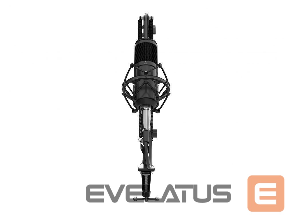 Other Computer Accessory Genesis Gaming Microphone Radium 300 Black, Wired