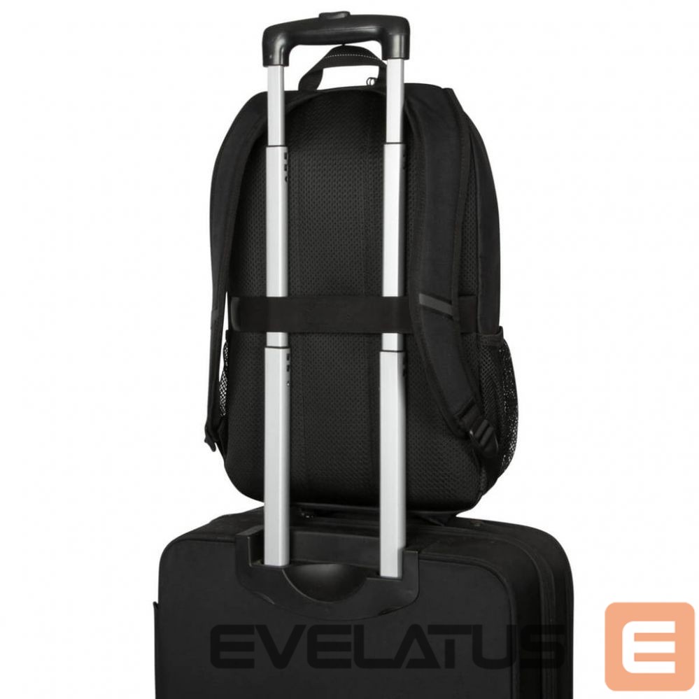 Laptop Bag Targus 15.6" Classic Backpack