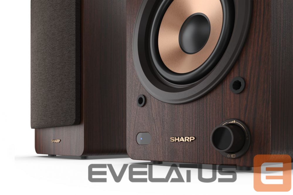 Speakers Sharp CP-SS30 Bookshelf Speakers, Brown
