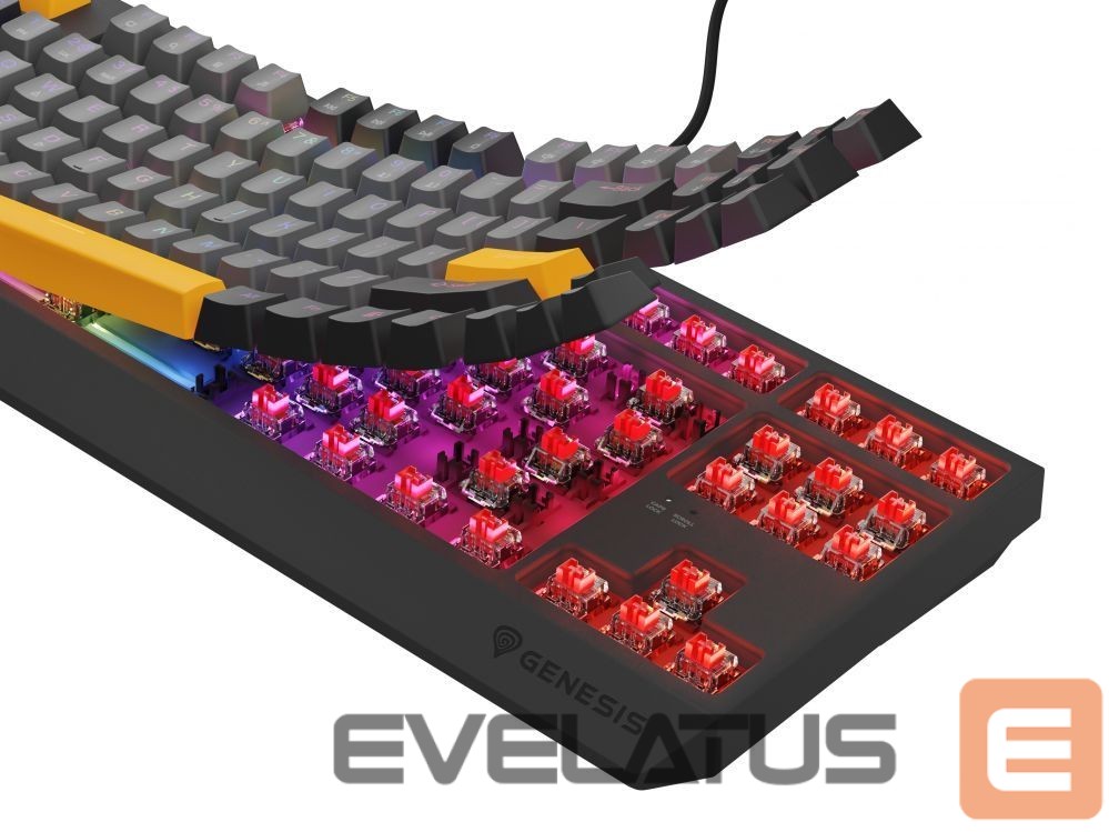 Computer keyboard Genesis THOR 230 | Mechanical Gaming Keyboard | Wired | US | Anchor Gray Negative | USB Type-A | Outemu Red