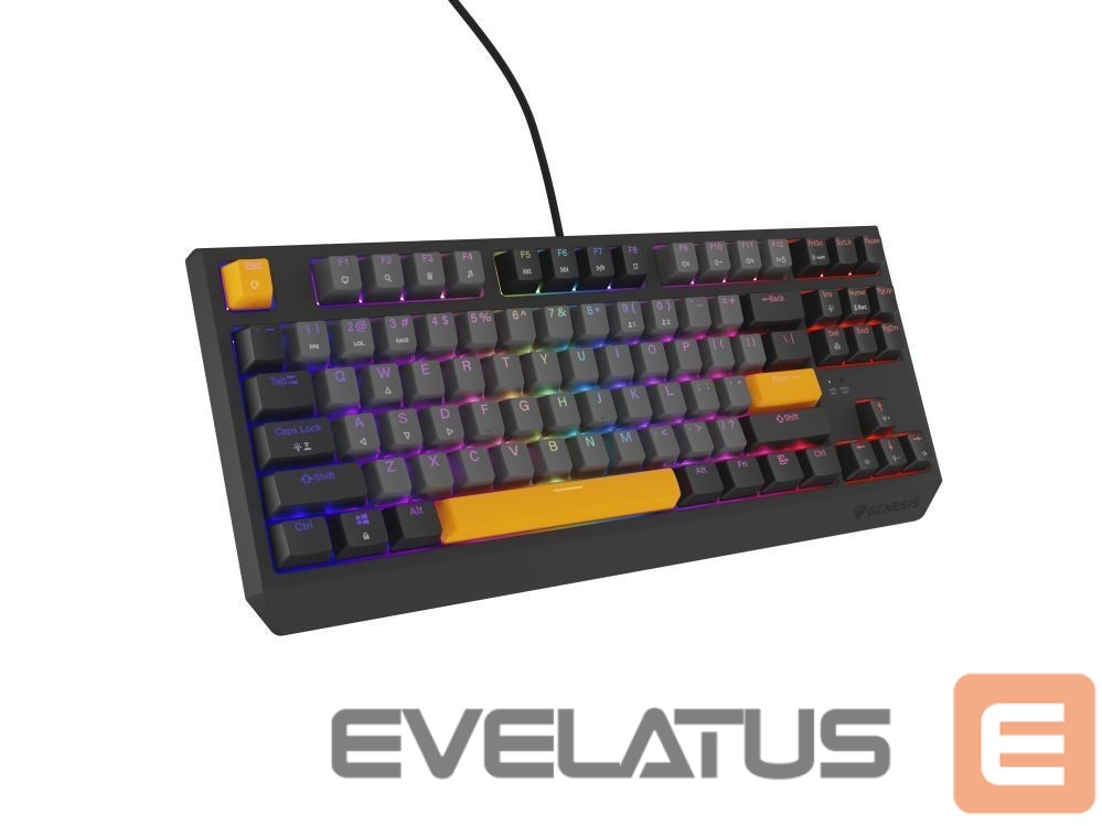 Computer keyboard Genesis THOR 230 | Mechanical Gaming Keyboard | Wired | US | Anchor Gray Negative | USB Type-A | Outemu Red