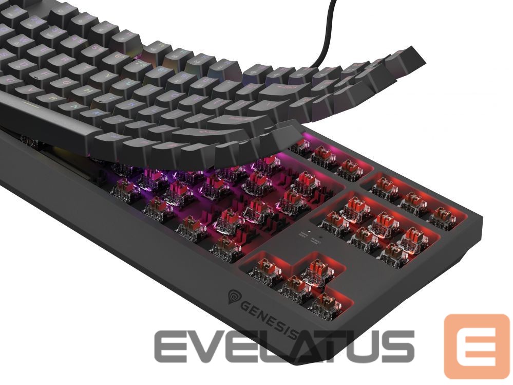 Computer keyboard Genesis THOR 230 | Mechanical Gaming Keyboard | Wired | US | Black | USB Type-A | Outemu Brown