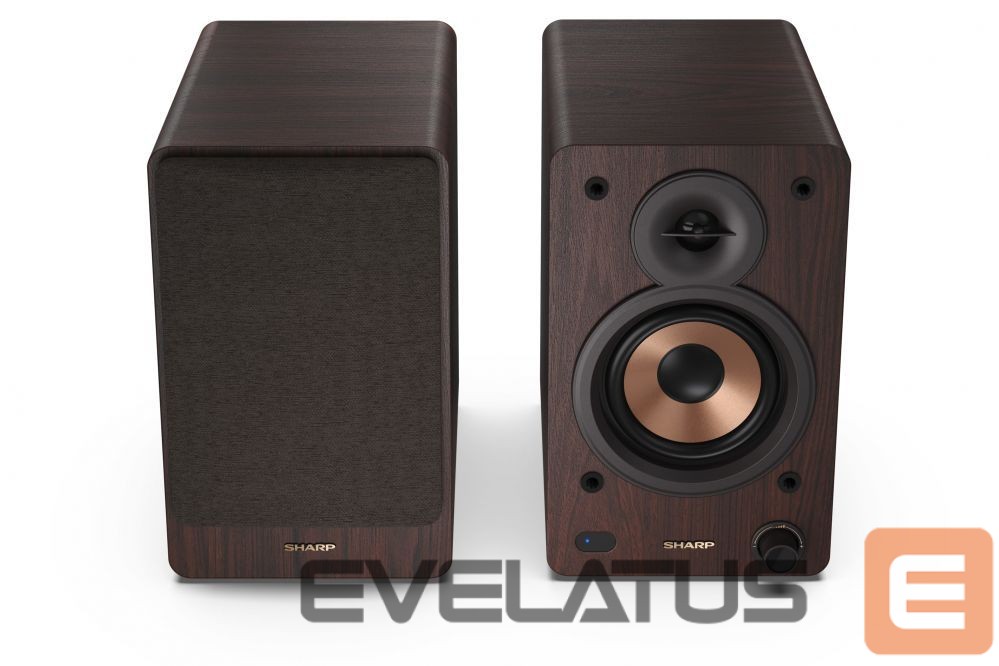 Speakers Sharp CP-SS30 Bookshelf Speakers, Brown