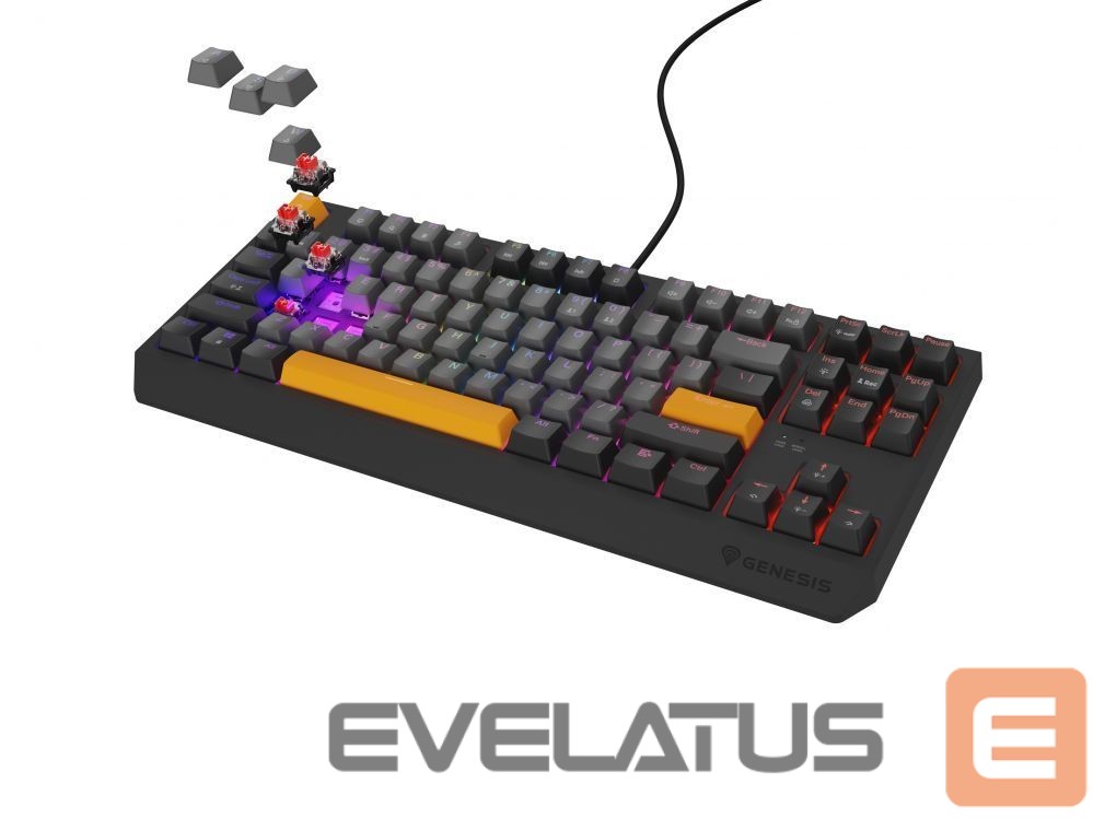 Computer keyboard Genesis THOR 230 | Mechanical Gaming Keyboard | Wired | US | Anchor Gray Negative | USB Type-A | Outemu Red