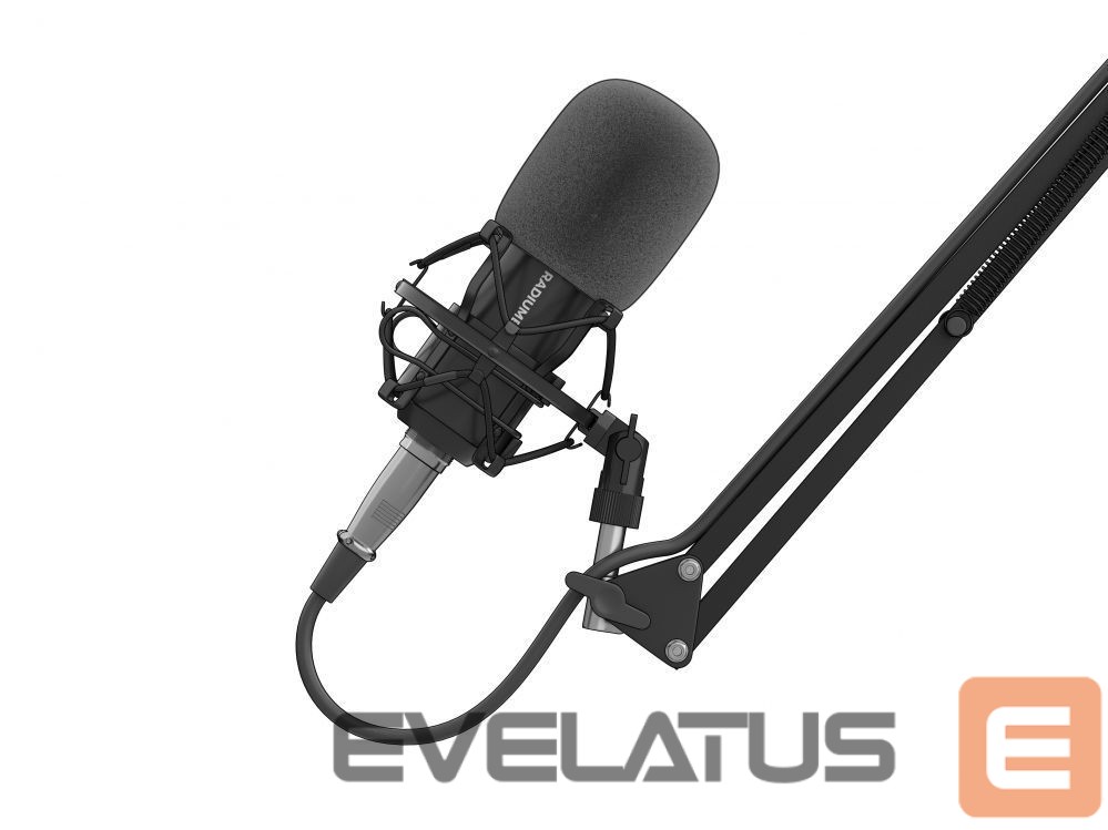 Other Computer Accessory Genesis Gaming Microphone Radium 300 Black, Wired