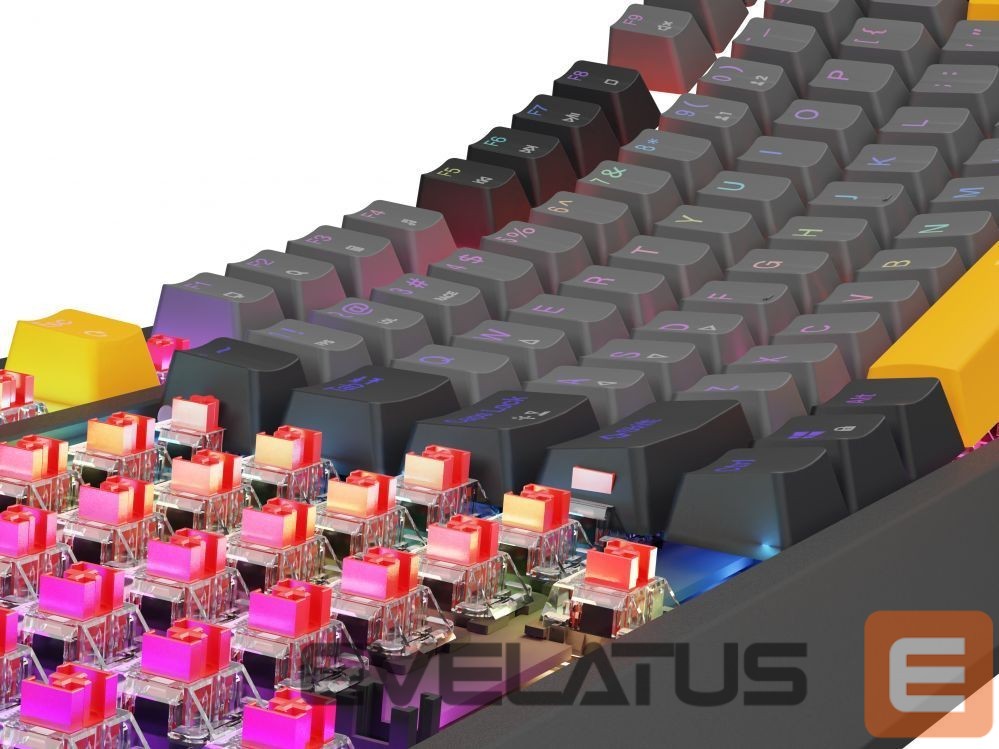 Computer keyboard Genesis THOR 230 | Mechanical Gaming Keyboard | Wired | US | Anchor Gray Negative | USB Type-A | Outemu Red