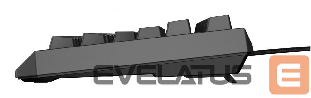 Computer keyboard Genesis THOR 230 | Mechanical Gaming Keyboard | Wired | US | Black | USB Type-A | Outemu Brown