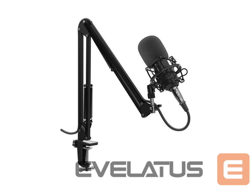 Other Computer Accessory Genesis Gaming Microphone Radium 300 Black, Wired