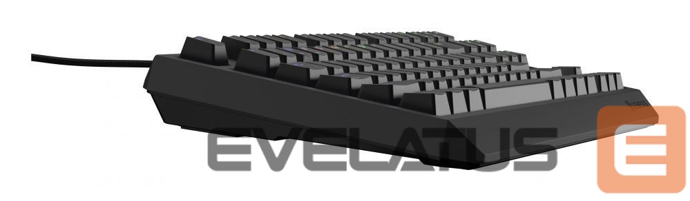 Computer keyboard Genesis THOR 230 | Mechanical Gaming Keyboard | Wired | US | Black | USB Type-A | Outemu Brown
