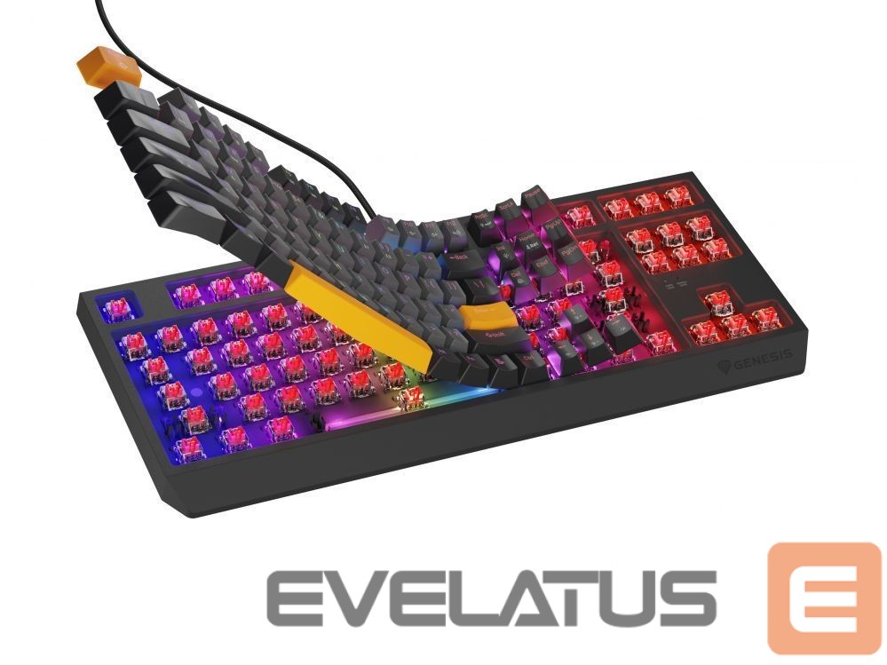 Computer keyboard Genesis THOR 230 | Mechanical Gaming Keyboard | Wired | US | Anchor Gray Negative | USB Type-A | Outemu Red
