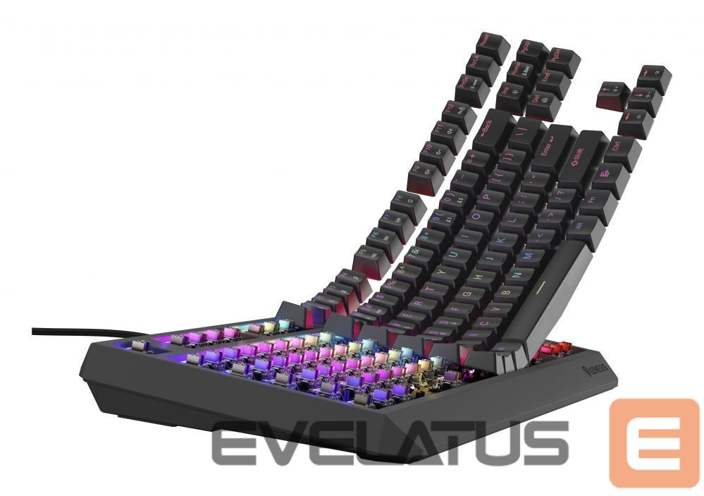 Computer keyboard Genesis THOR 230 | Mechanical Gaming Keyboard | Wired | US | Black | USB Type-A | Outemu Brown