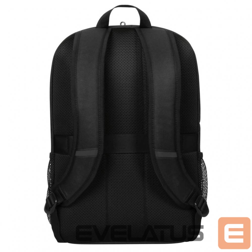 Laptop Bag Targus 15.6" Classic Backpack