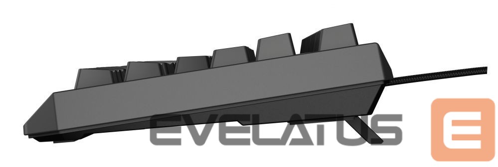 Computer keyboard Genesis THOR 230 | Mechanical Gaming Keyboard | Wired | US | Black | USB Type-A | Outemu Brown