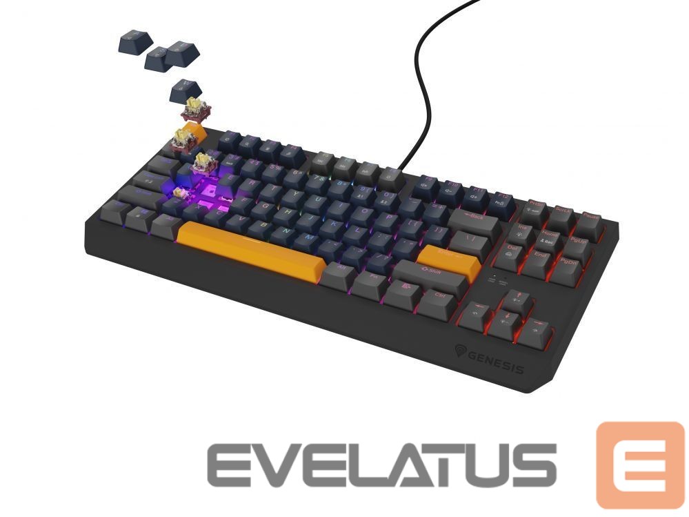 Computer keyboard Genesis THOR 230 | Mechanical Gaming Keyboard | Wired | US | Naval Blue Positive | USB Type-A | Outemu Panda