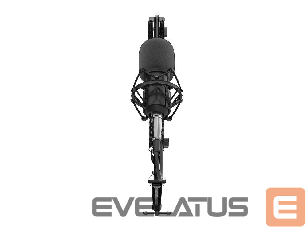 Other Computer Accessory Genesis Gaming Microphone Radium 300 Black, Wired