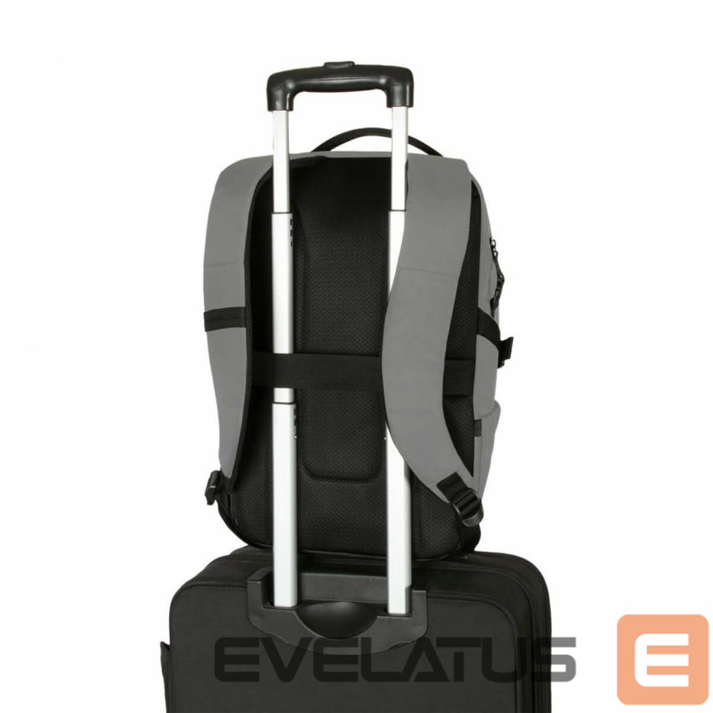 Laptop Bag Targus | Terra EcoSmart | Backpack | Grey | 16 " | Shoulder strap