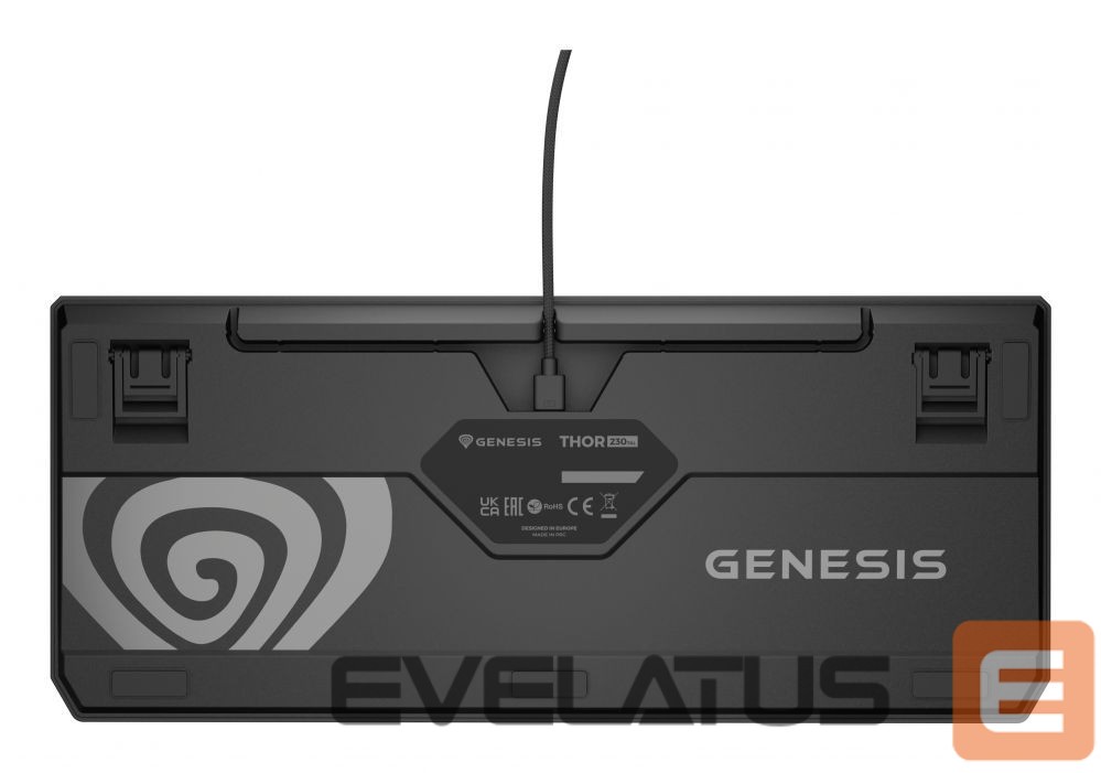Computer keyboard Genesis THOR 230 | Mechanical Gaming Keyboard | Wired | US | Black | USB Type-A | Outemu Brown